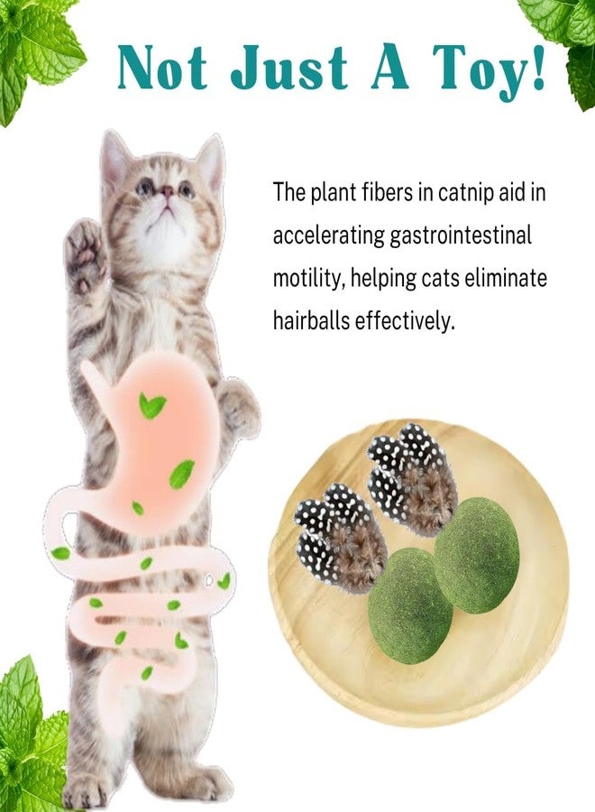 PET FUN لعبة النعناع البري للقطط من بيت فن | لعبة مضغ ولعق على شكل كرة ريشة للقطط | نعناع بري طبيعي | تنظيف الأسنان والتحكم في كرات الشعر (لعبة النعناع البري على شكل كرة ريشة) - Image 3